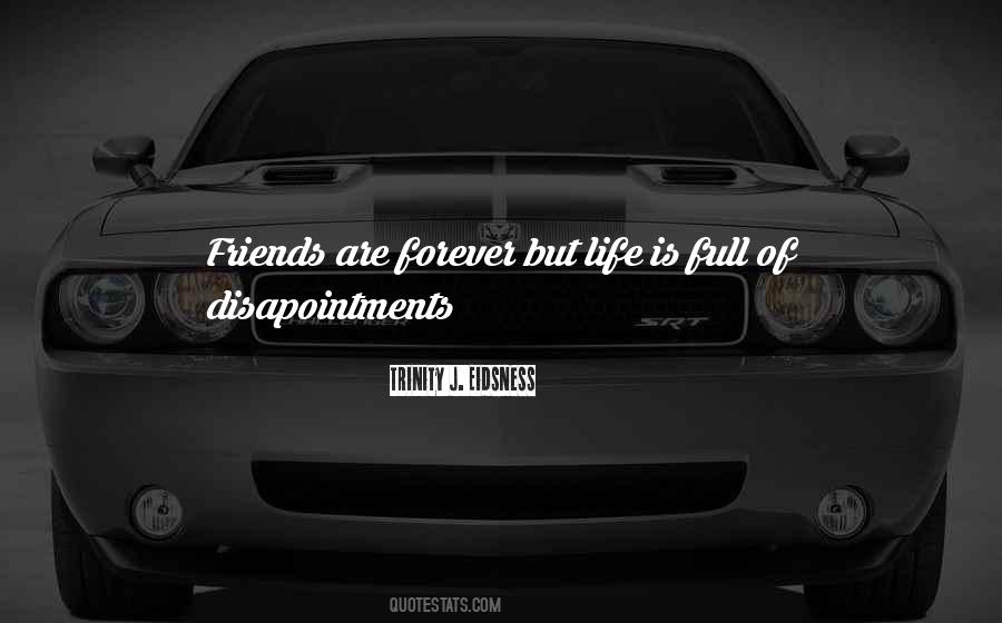 Trinity J. Eidsness Quotes #1295879 Trinity J. Eidsness Quotes #1295879