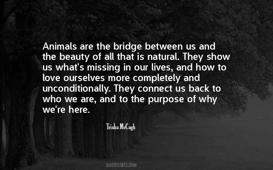 Trisha McCagh Quotes #1873793 Trisha McCagh Quotes #1873793