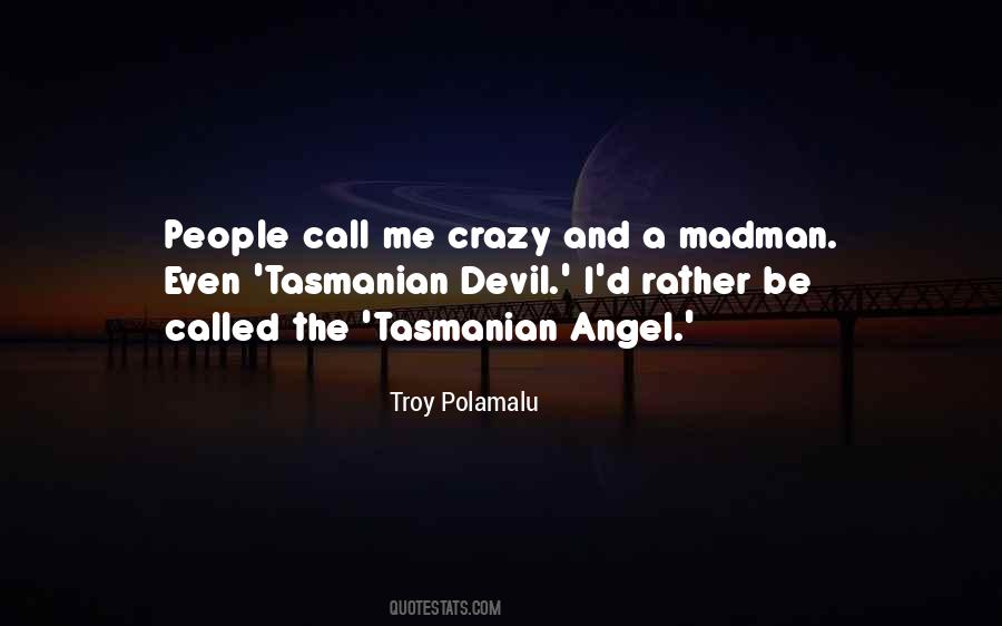 Troy Polamalu Quotes #1507683