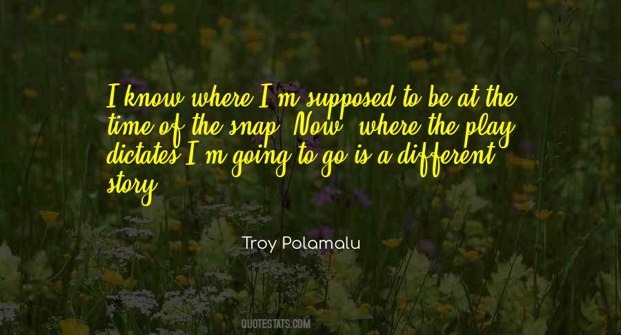 Troy Polamalu Quotes #1649624