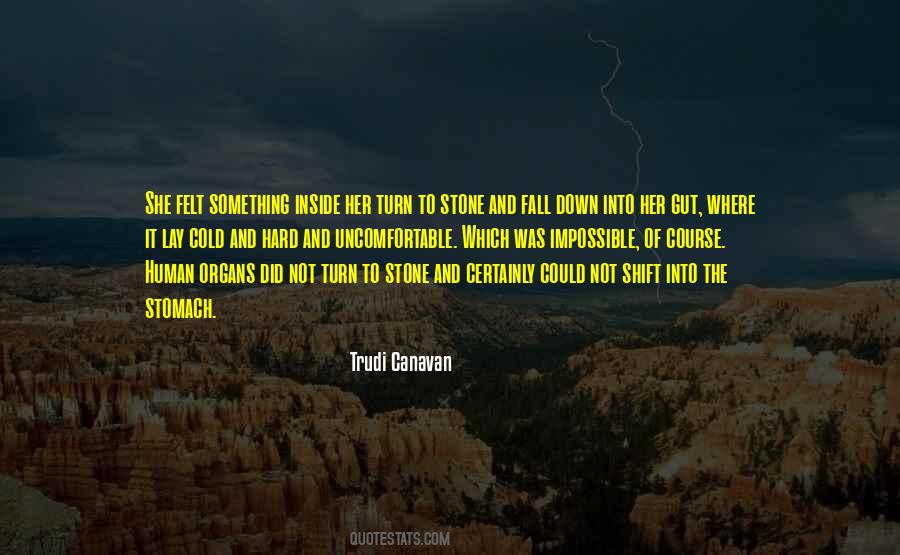 Trudi Canavan Quotes #579409