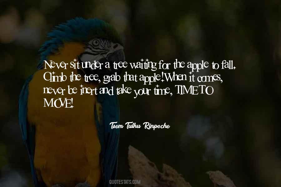 Tsem Tulku Rinpoche Quotes #75629 Tsem Tulku Rinpoche Quotes #75629