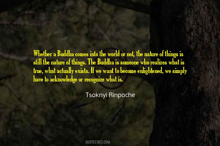 Tsoknyi Rinpoche Quotes #1031633