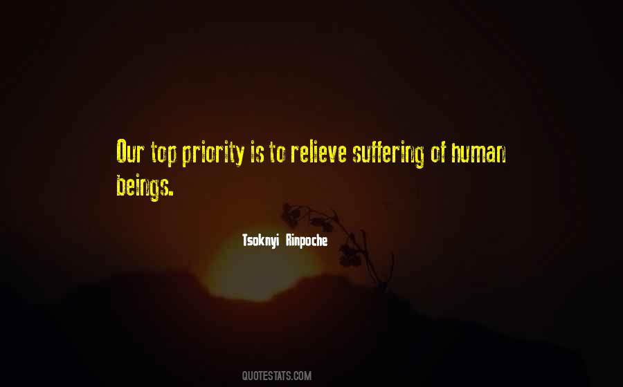 Tsoknyi Rinpoche Quotes #1615507