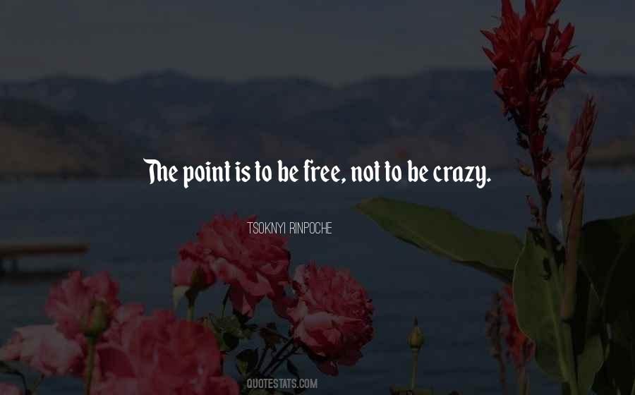Tsoknyi Rinpoche Quotes #1764386
