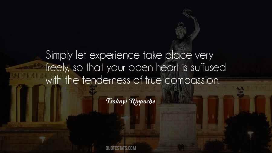 Tsoknyi Rinpoche Quotes #188846