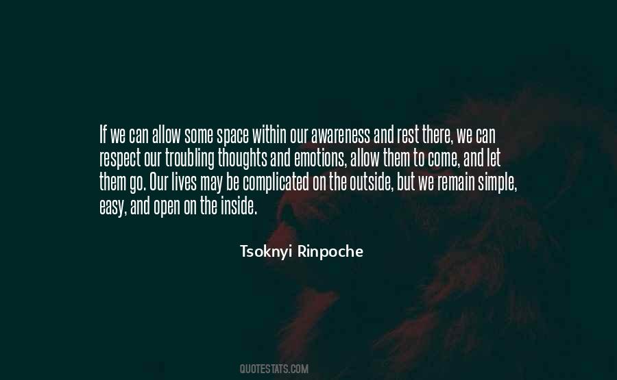 Tsoknyi Rinpoche Quotes #477722