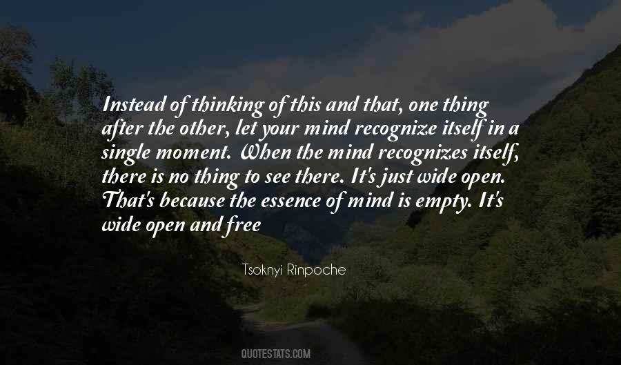 Tsoknyi Rinpoche Quotes #611152