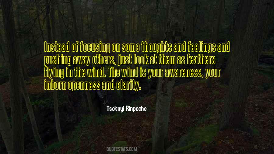 Tsoknyi Rinpoche Quotes #641337