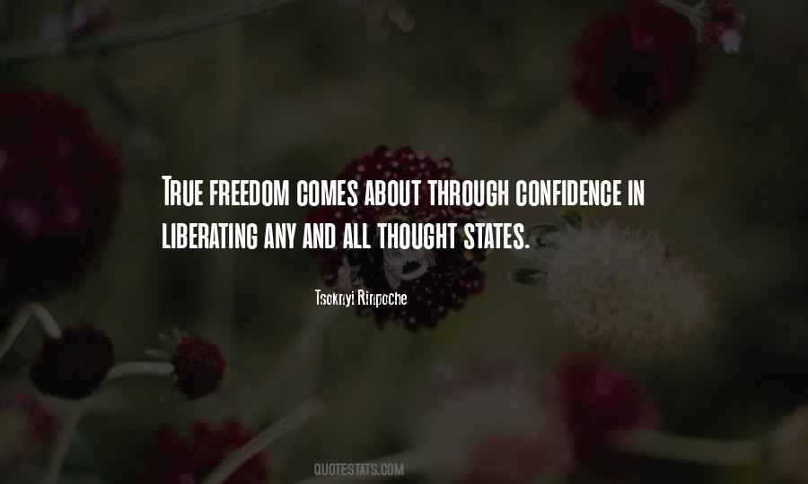 Tsoknyi Rinpoche Quotes #737130