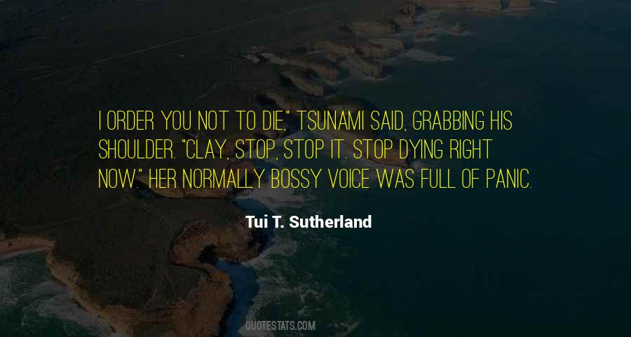 Tui T. Sutherland Quotes #12034