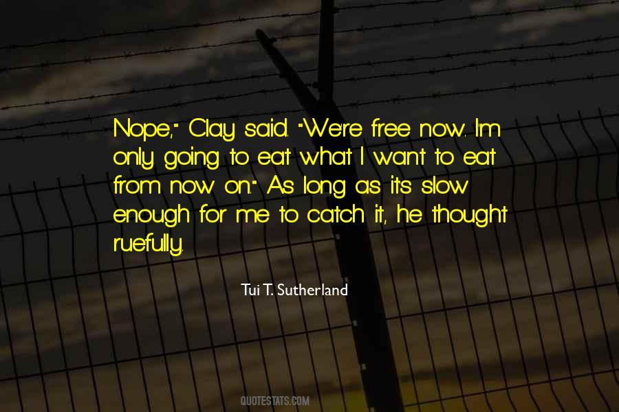 Tui T. Sutherland Quotes #990300