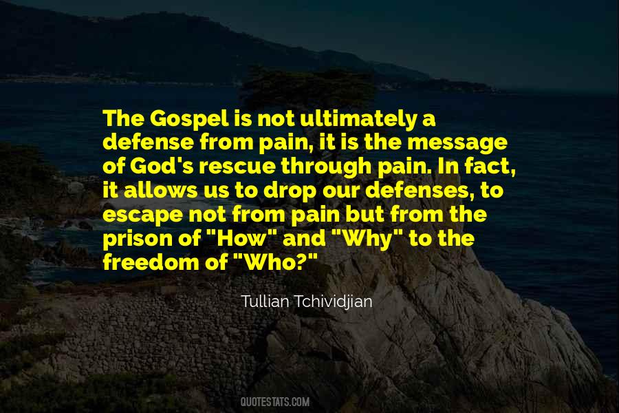 Tullian Tchividjian Quotes #1264634