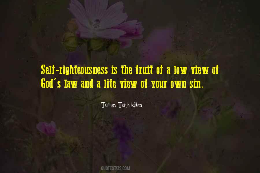 Tullian Tchividjian Quotes #321432