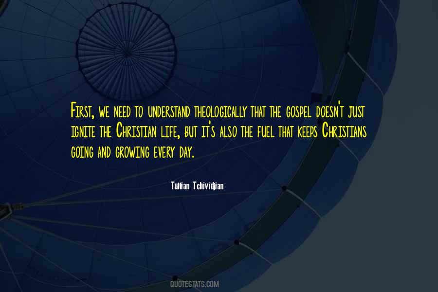 Tullian Tchividjian Quotes #367568