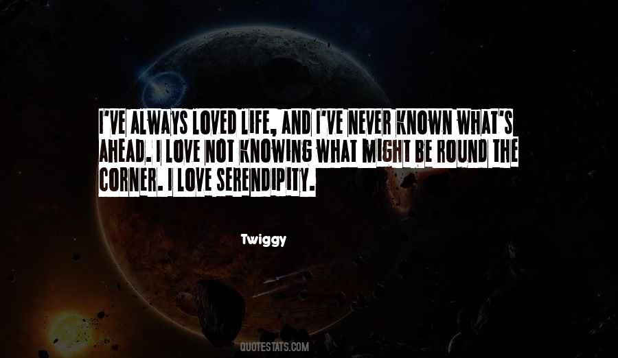 Twiggy Quotes #1871052