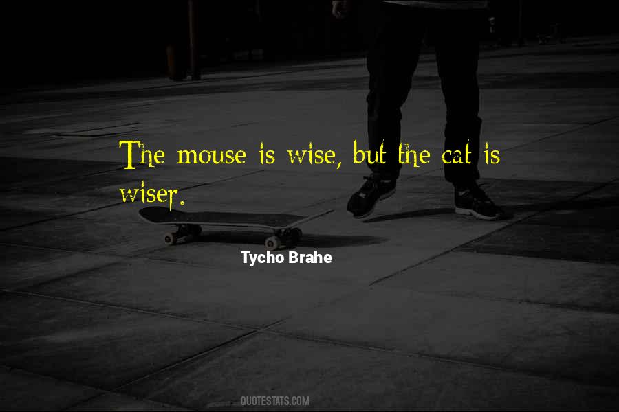 Tycho Brahe Quotes #1573677