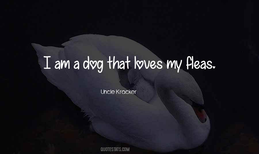 Uncle Kracker Quotes #373193