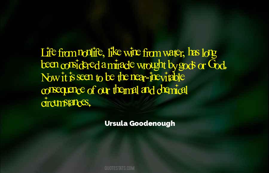 Ursula Goodenough Quotes #358540