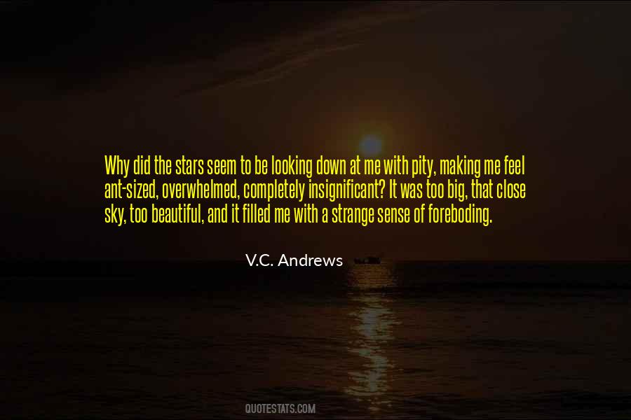 V.C. Andrews Quotes #1532000
