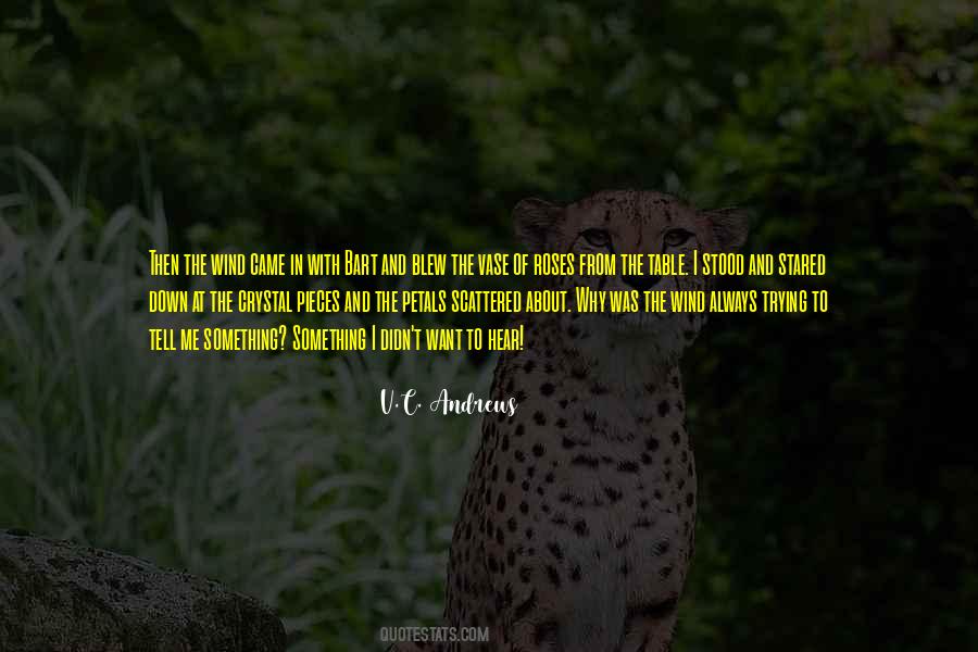 V.C. Andrews Quotes #300694