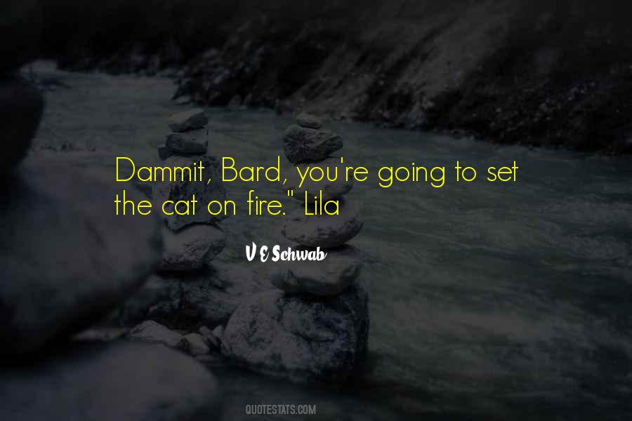 V.E Schwab Quotes #27596