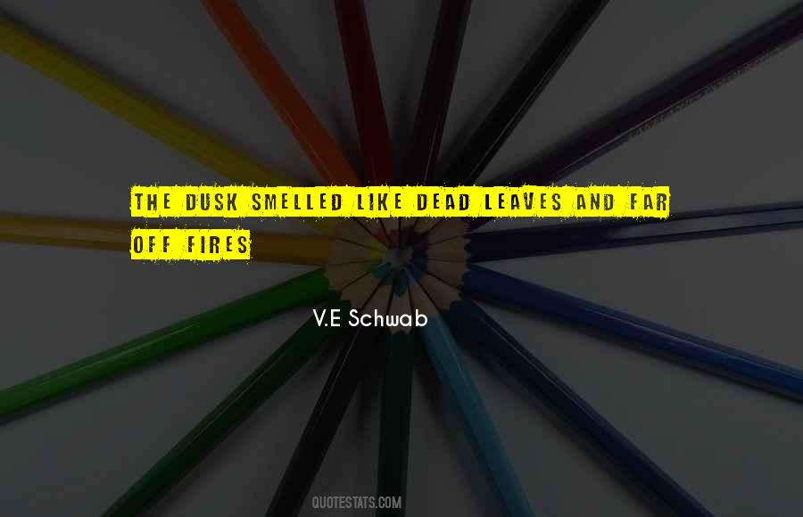 V.E Schwab Quotes #303296