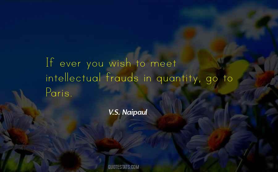 V.S. Naipaul Quotes #1136633