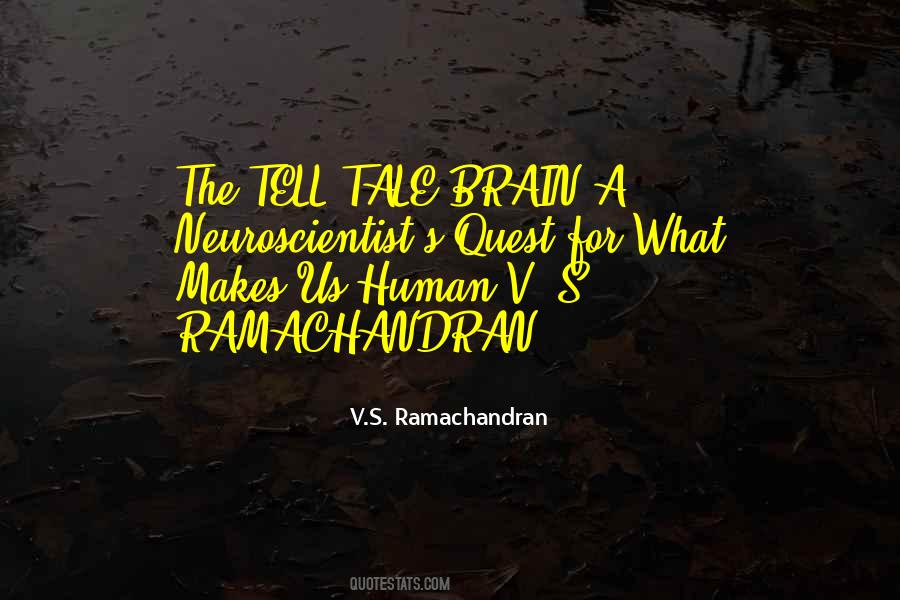 V.S. Ramachandran Quotes #975013