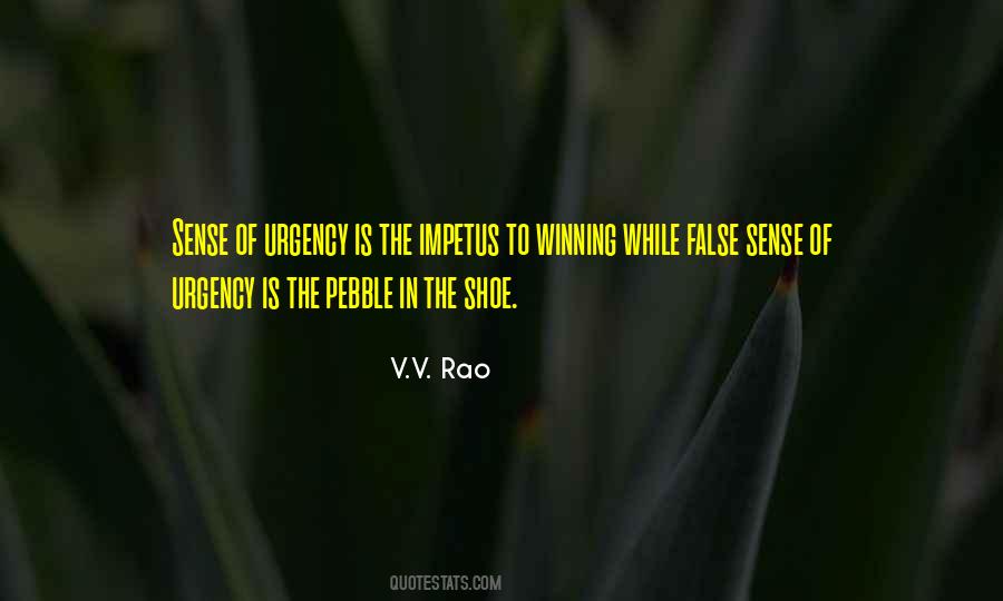 V.V. Rao Quotes #1581815