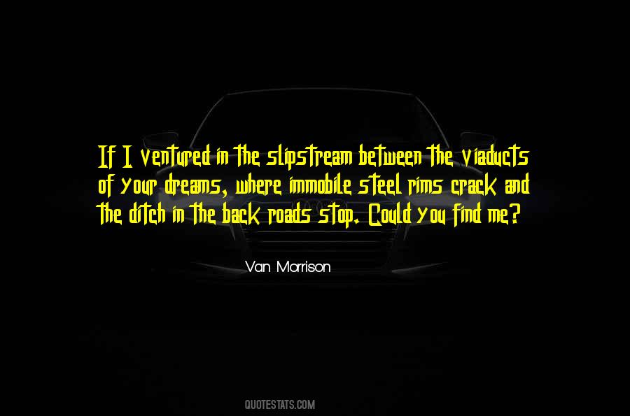 Van Morrison Quotes #433896