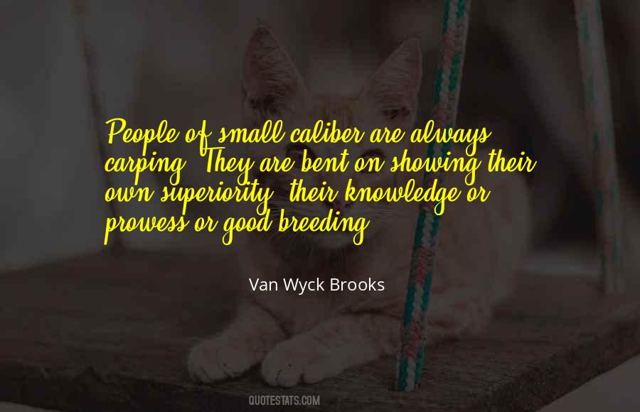 Van Wyck Brooks Quotes #1394802