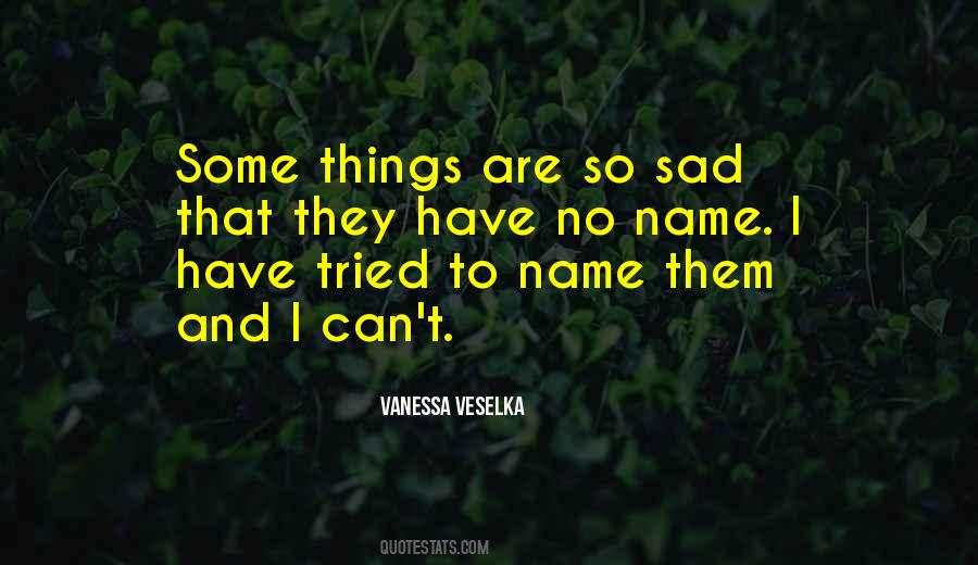 Vanessa Veselka Quotes #1581100