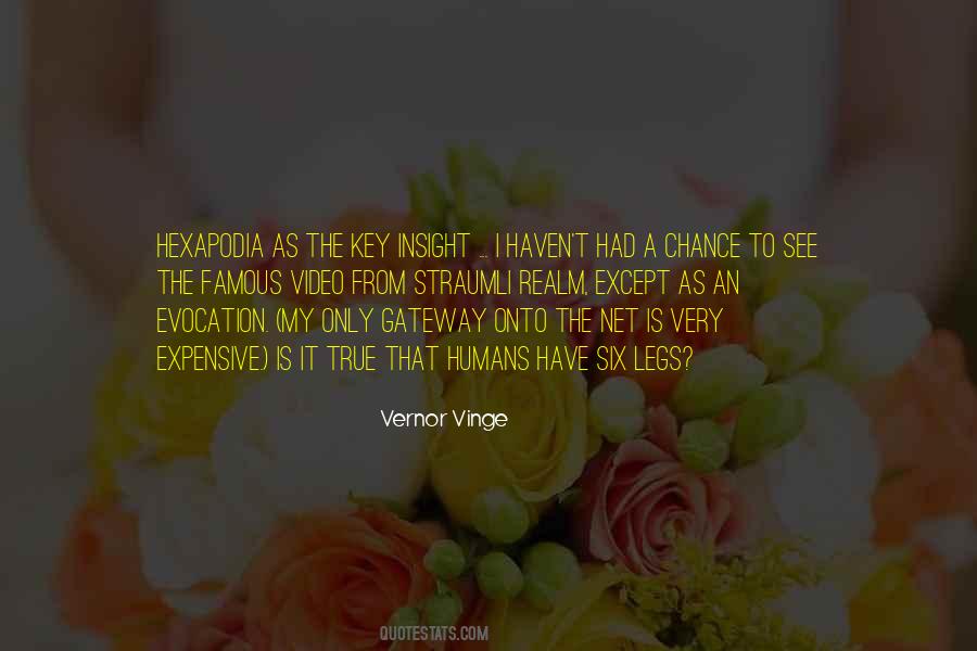 Vernor Vinge Quotes #72464