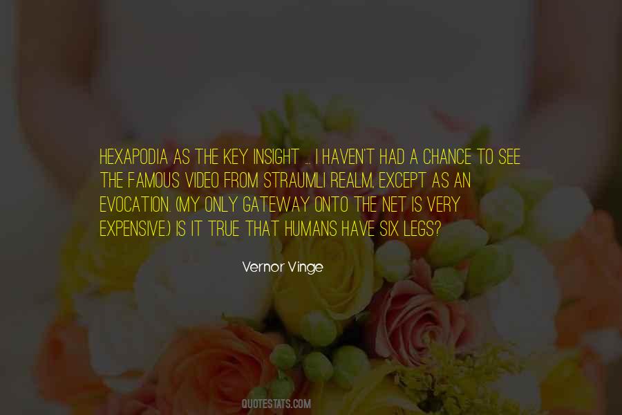 Vernor Vinge Quotes #72464 Vernor Vinge Quotes #72464
