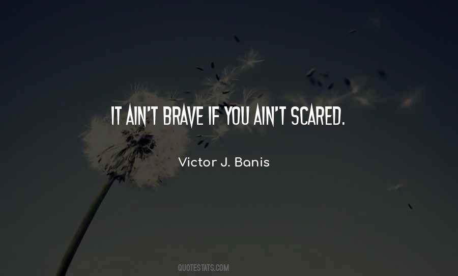 Victor J. Banis Quotes #407943