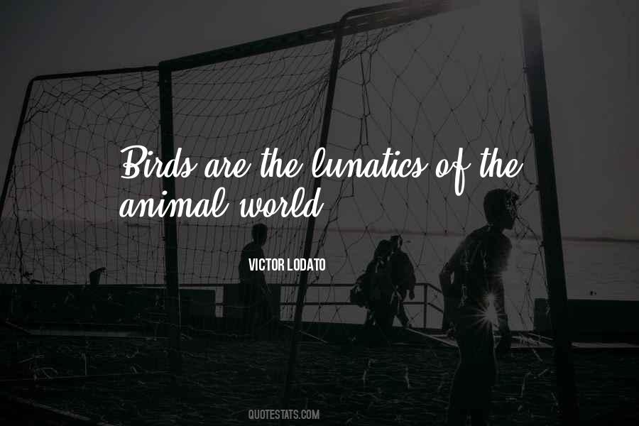 Victor Lodato Quotes #803885