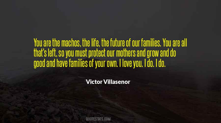 Victor Villasenor Quotes #615047