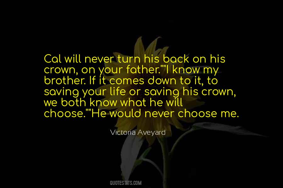 Victoria Aveyard Quotes #132852