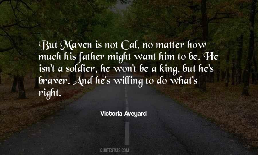 Victoria Aveyard Quotes #1662975