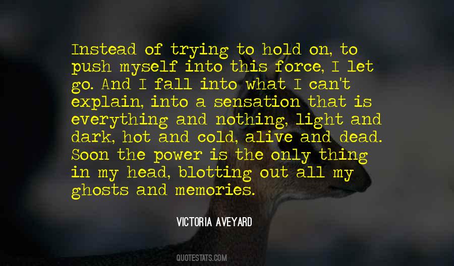 Victoria Aveyard Quotes #803502