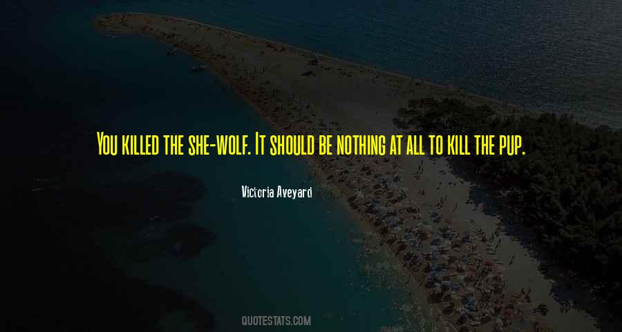 Victoria Aveyard Quotes #8220
