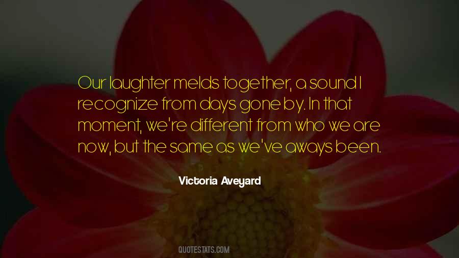 Victoria Aveyard Quotes #872962