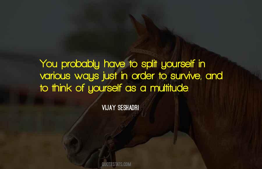 Vijay Seshadri Quotes #1516955