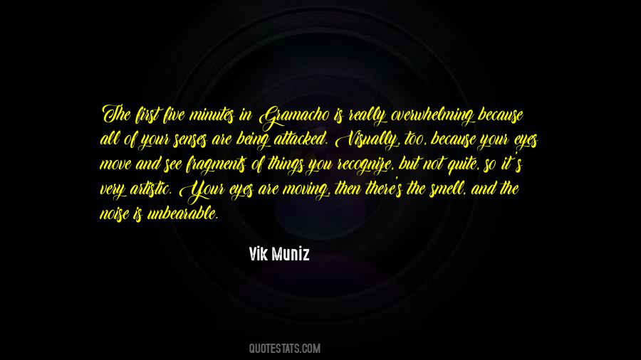 Vik Muniz Quotes #124443