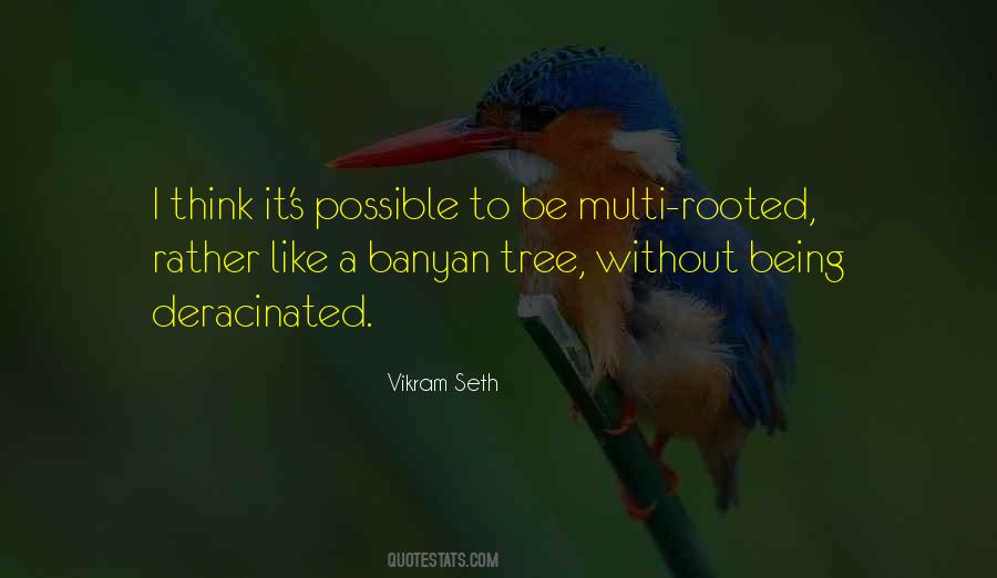 Vikram Seth Quotes #1028219