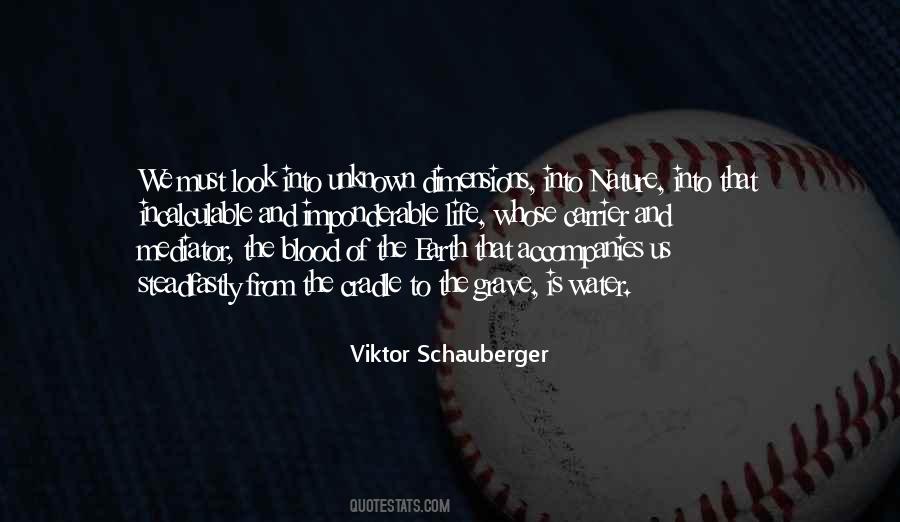 Viktor Schauberger Quotes #1256951