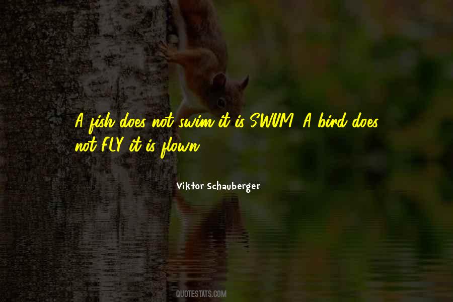 Viktor Schauberger Quotes #953848