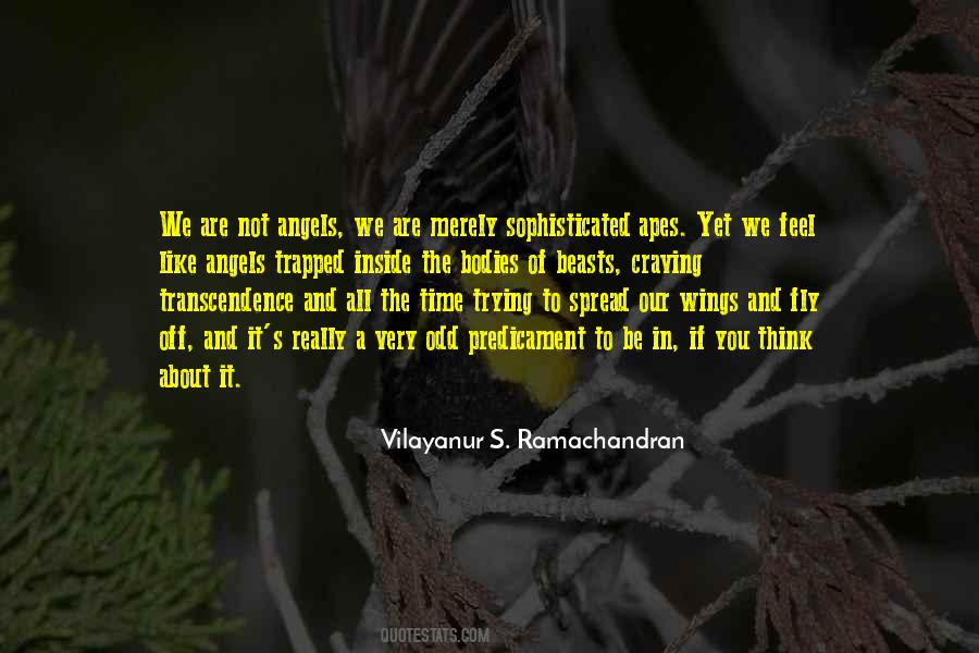 Vilayanur S. Ramachandran Quotes #233294