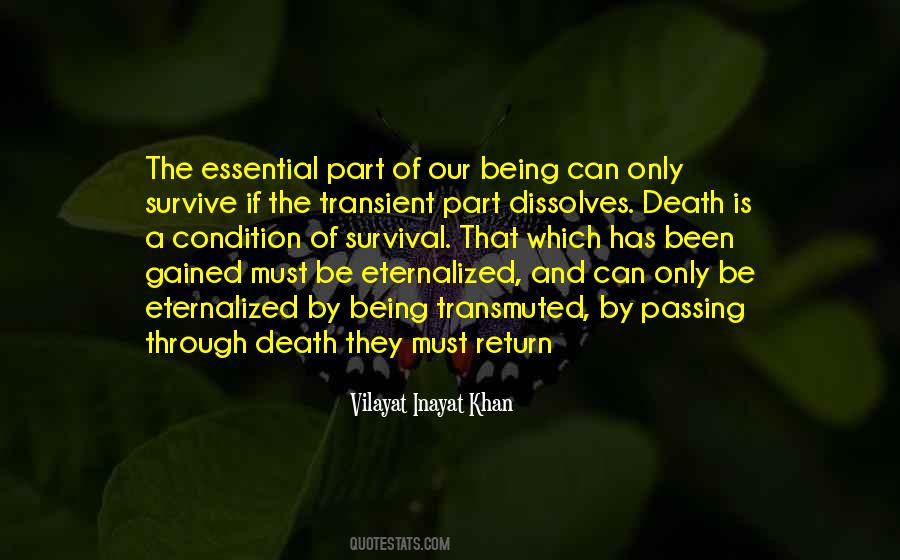 Vilayat Inayat Khan Quotes #1346211
